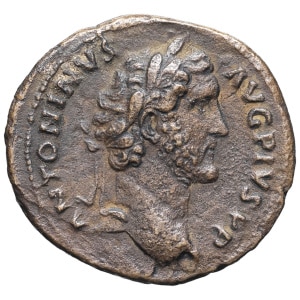 lot 203