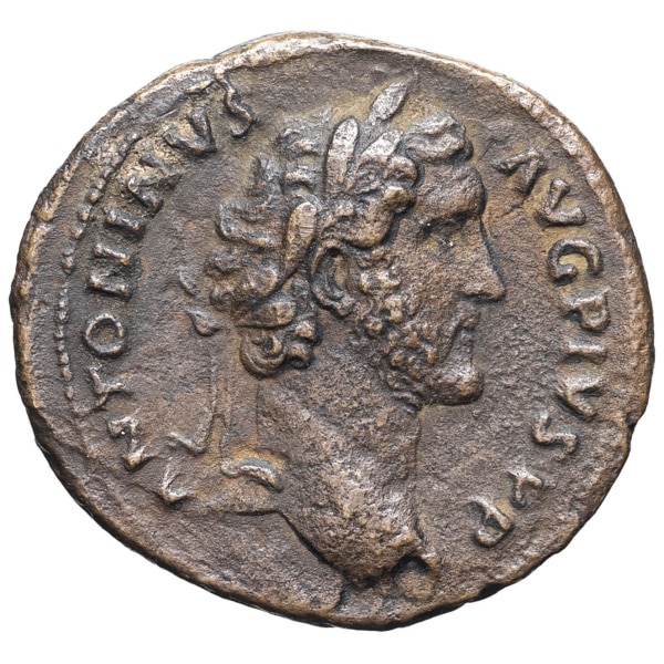 lot 203