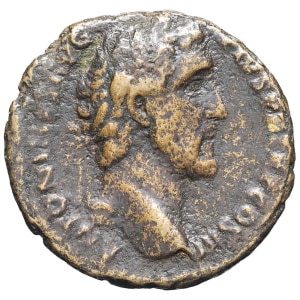 lot 204