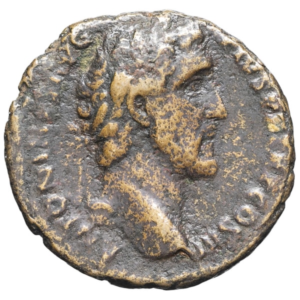 lot 204