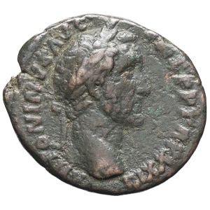 lot 205