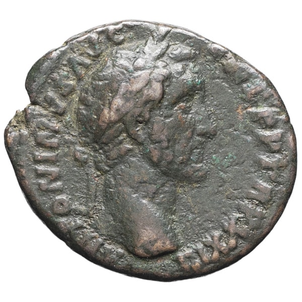 lot 205