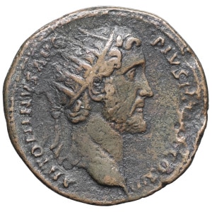 lot 206