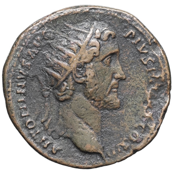 lot 206