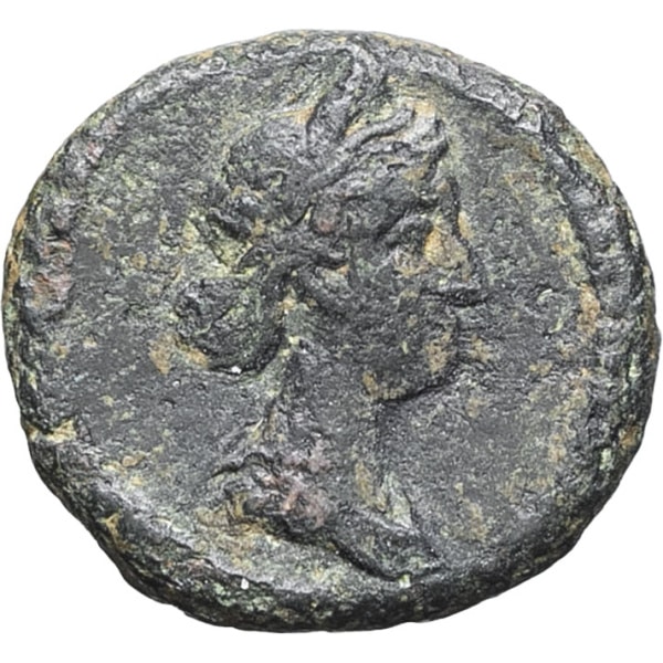 lot 208