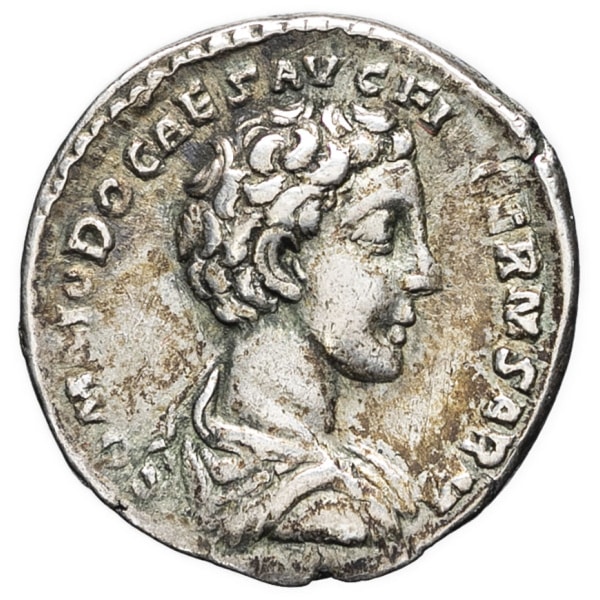 lot 217