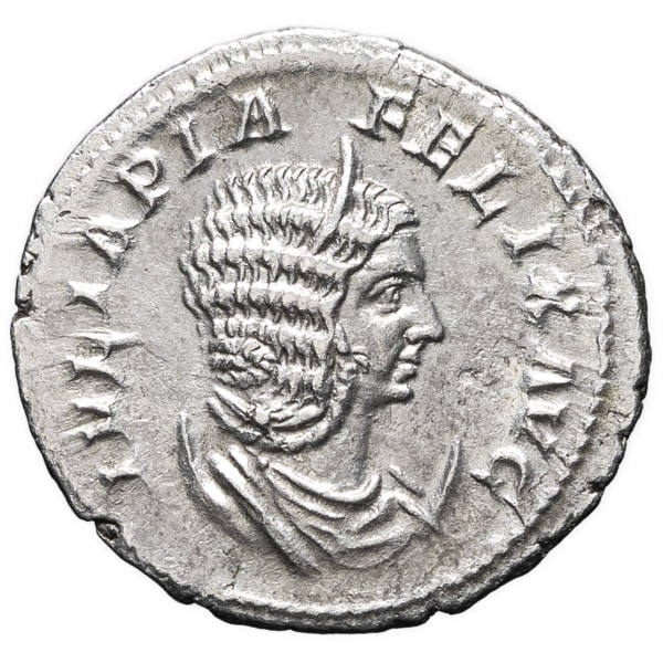 lot 229
