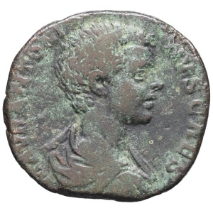 lot 239