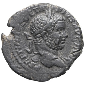 lot 244