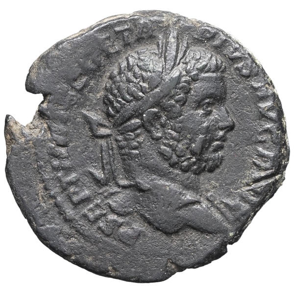 lot 244