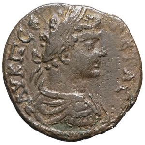 lot 245