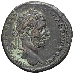 lot 254