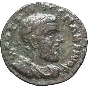 lot 255