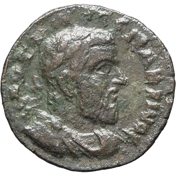 lot 255