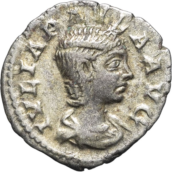 lot 261