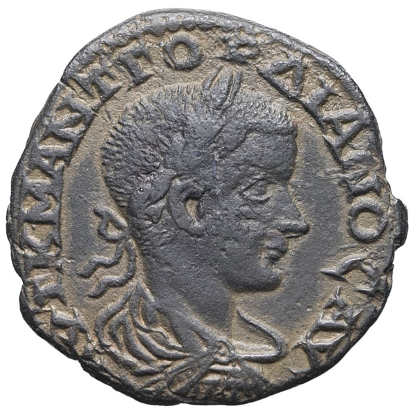 lot 288