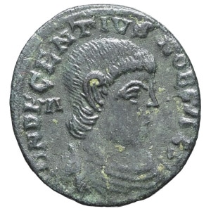 lot 341