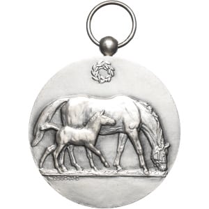 lot 384