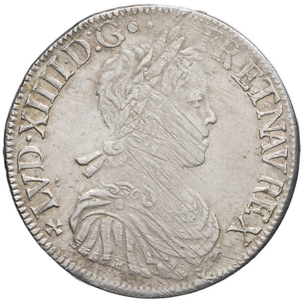 lot 684