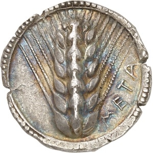 lot 1