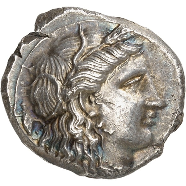 lot 3