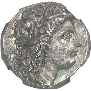 lot 5