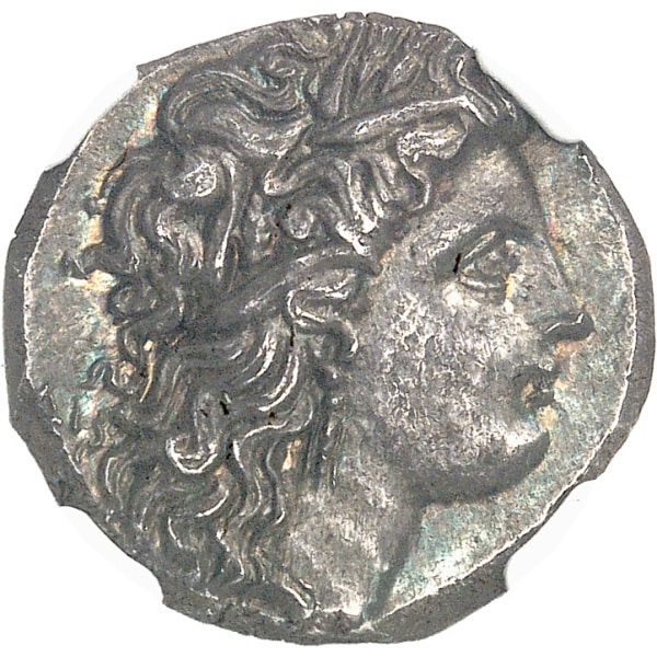 lot 5