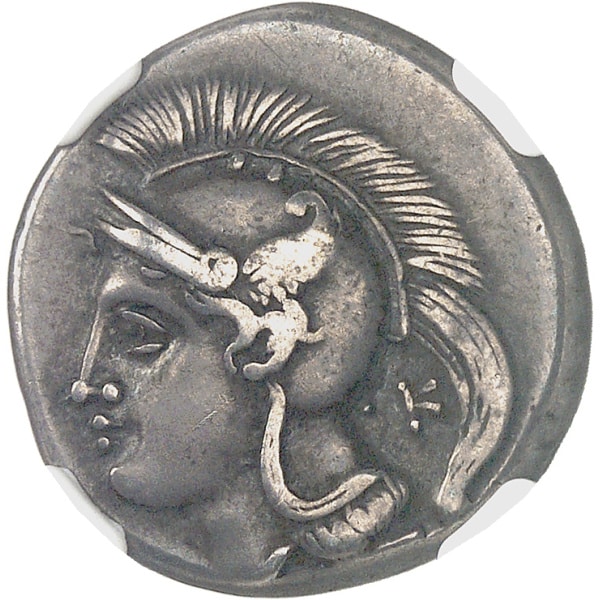 lot 6