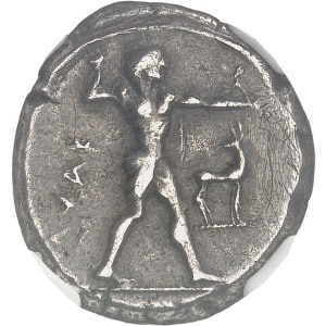 lot 7
