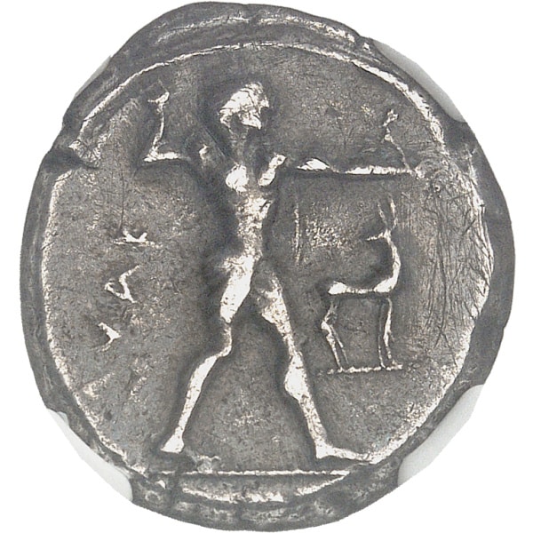 lot 7