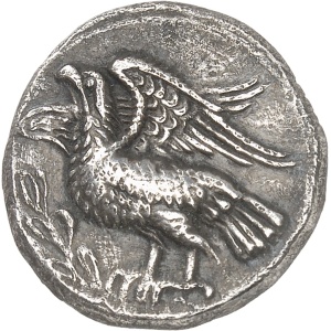 lot 8