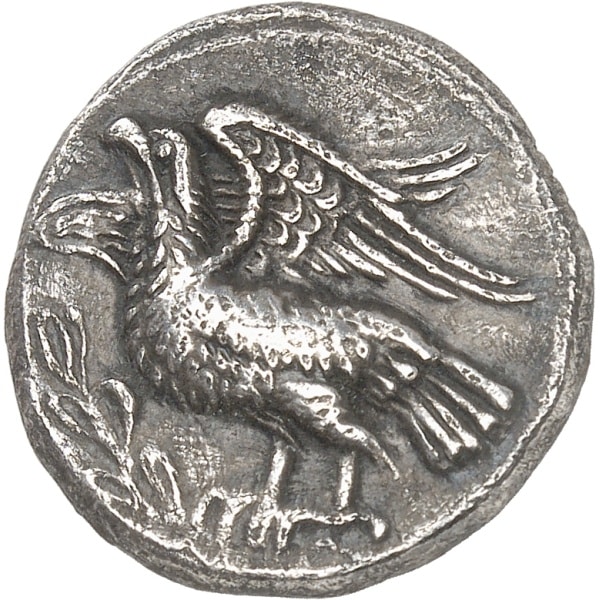 lot 8