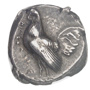 lot 13