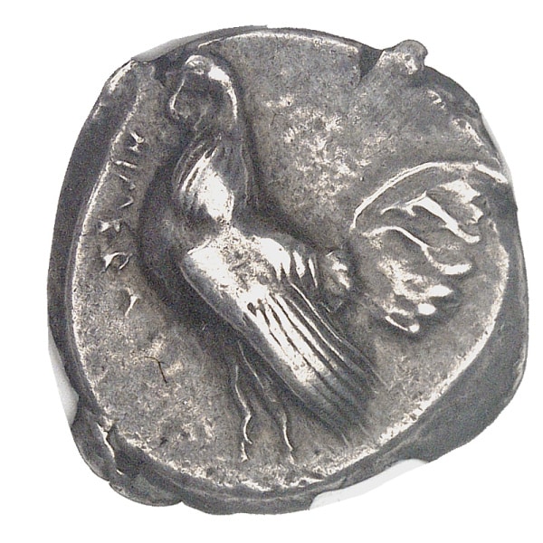 lot 13