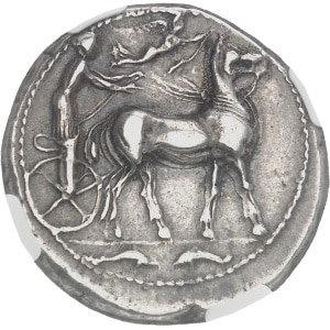 lot 16