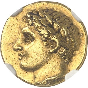 lot 23