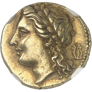 lot 24