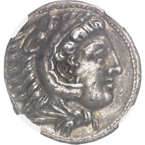 lot 43