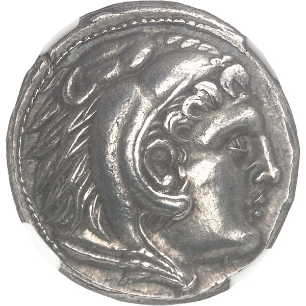 lot 44