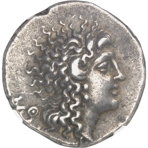 lot 50