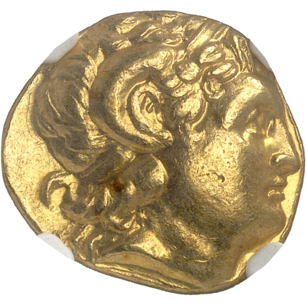 lot 53