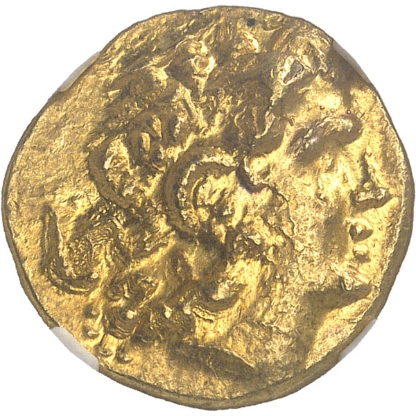 lot 56