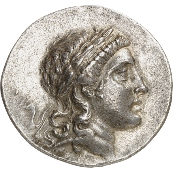 lot 63