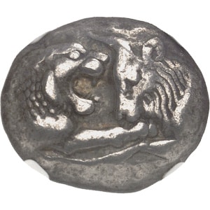 lot 64