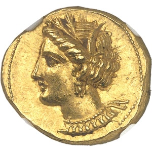 lot 84