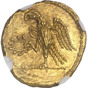 lot 89