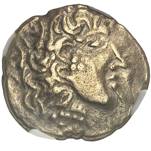 lot 120