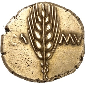 lot 156