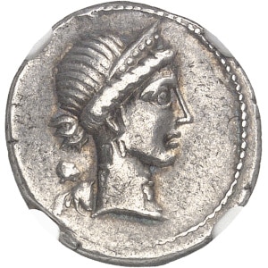 lot 164