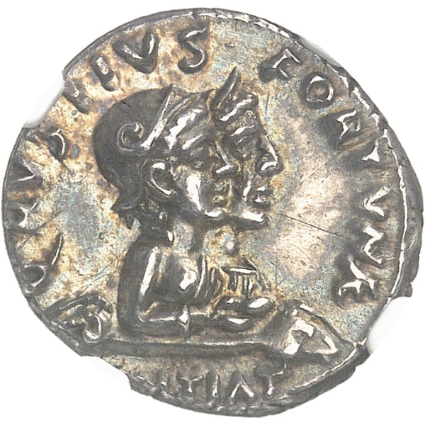 lot 171